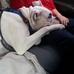 Meet your Posher, Lori